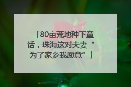 80亩荒地种下童话,珠海这对夫妻“为了家乡我愿意”
