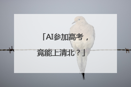 AI参加高考，竟能上清北？