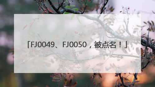 FJ0049、FJ0050，被点名！